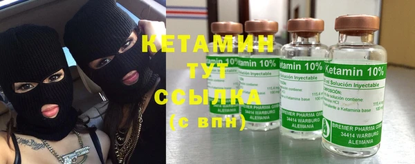 стаф Новодвинск